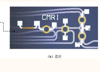 全链条自主可控：中国移动光源芯片研发成功