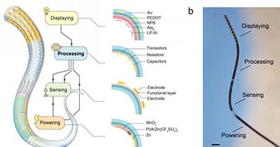复旦团队首创纤维芯片